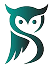 TSE Owl